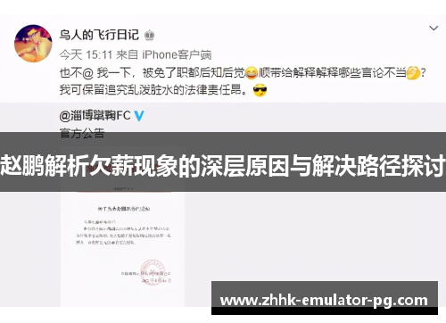 赵鹏解析欠薪现象的深层原因与解决路径探讨